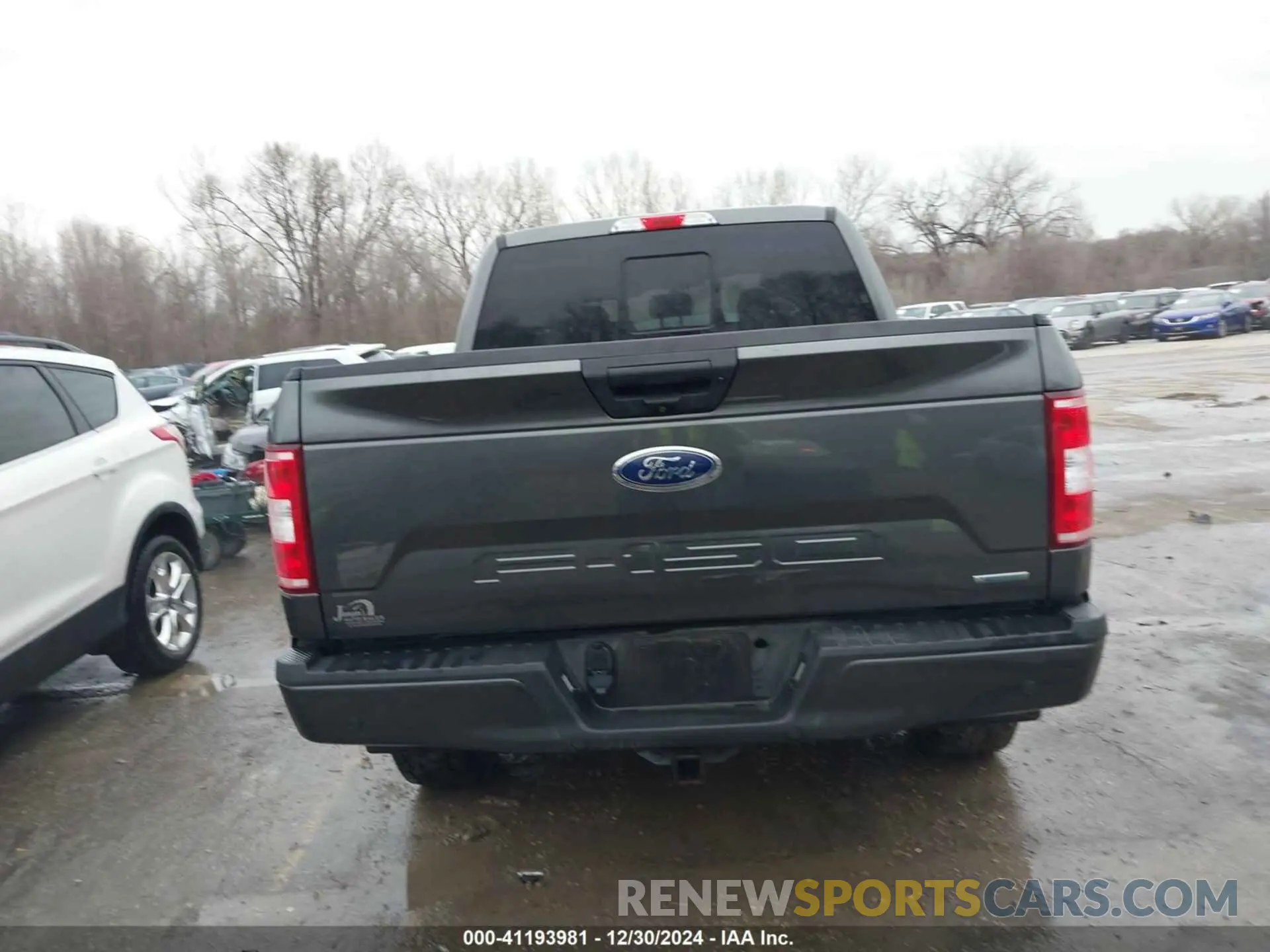 17 Photograph of a damaged car 1FTEW1E49KFB29702 FORD F-150 2019