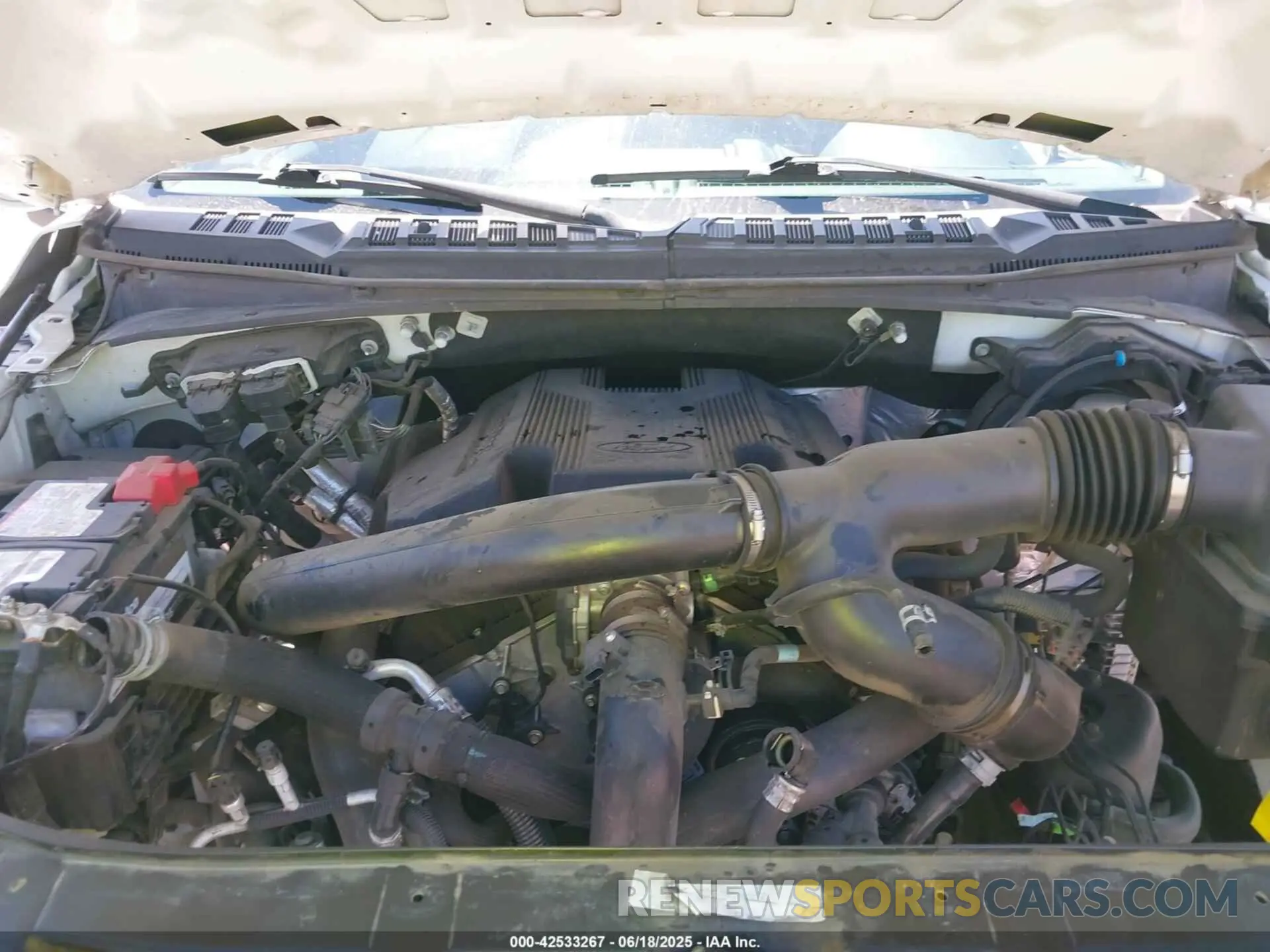 10 Photograph of a damaged car 1FTEW1E49KKC98884 FORD F-150 2019