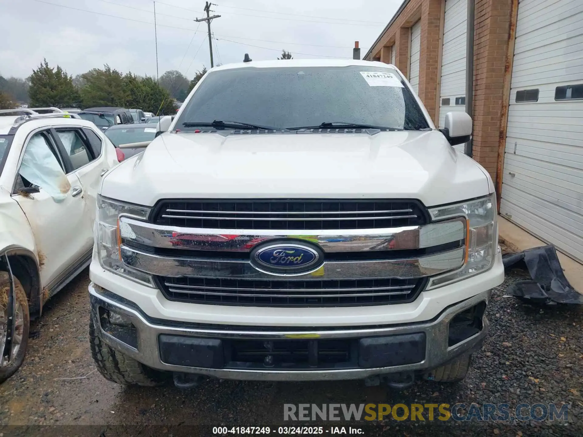 12 Photograph of a damaged car 1FTEW1E4XKFB99838 FORD F-150 2019