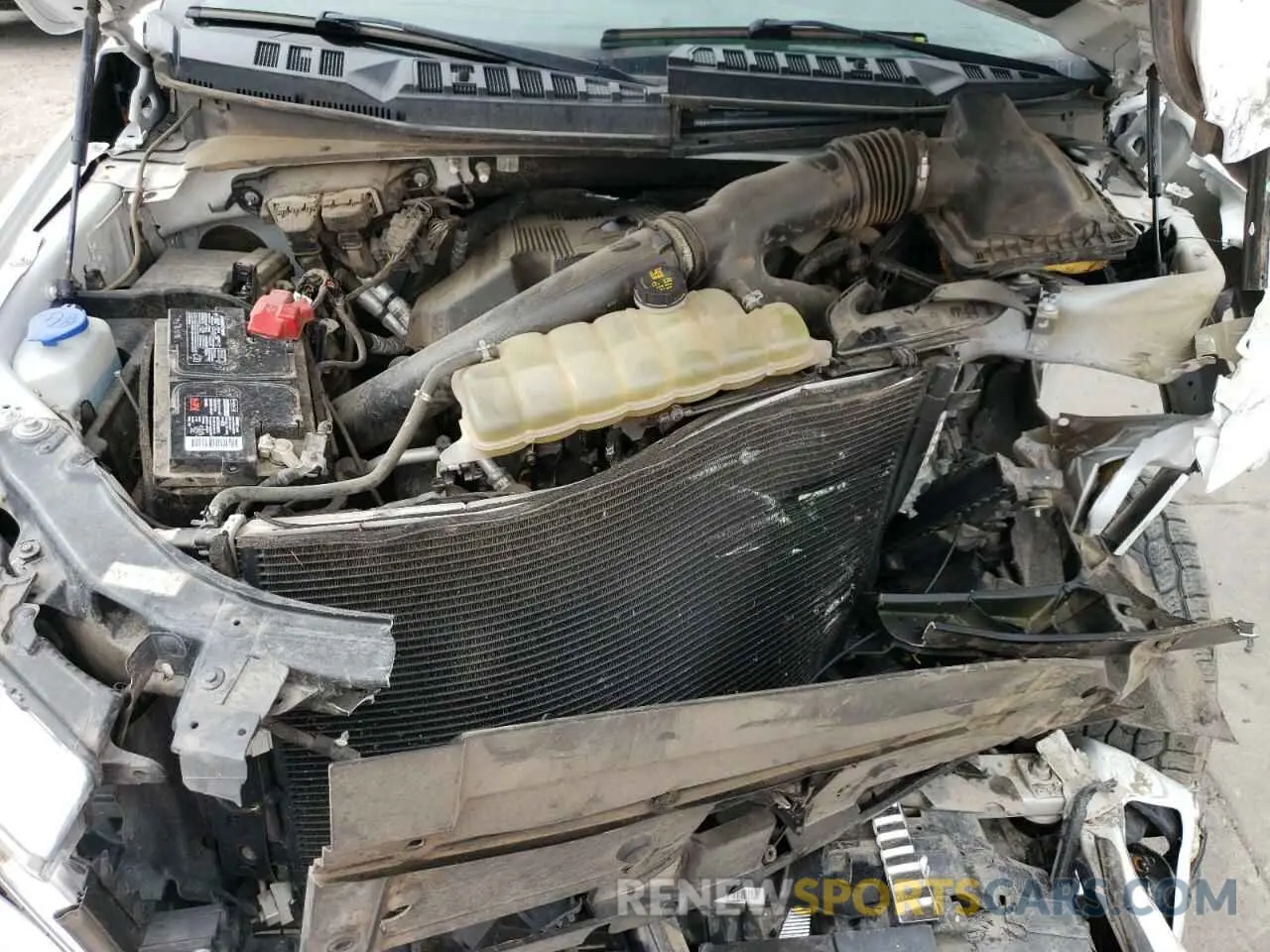12 Photograph of a damaged car 1FTEW1E4XKKE81484 FORD F-150 2019