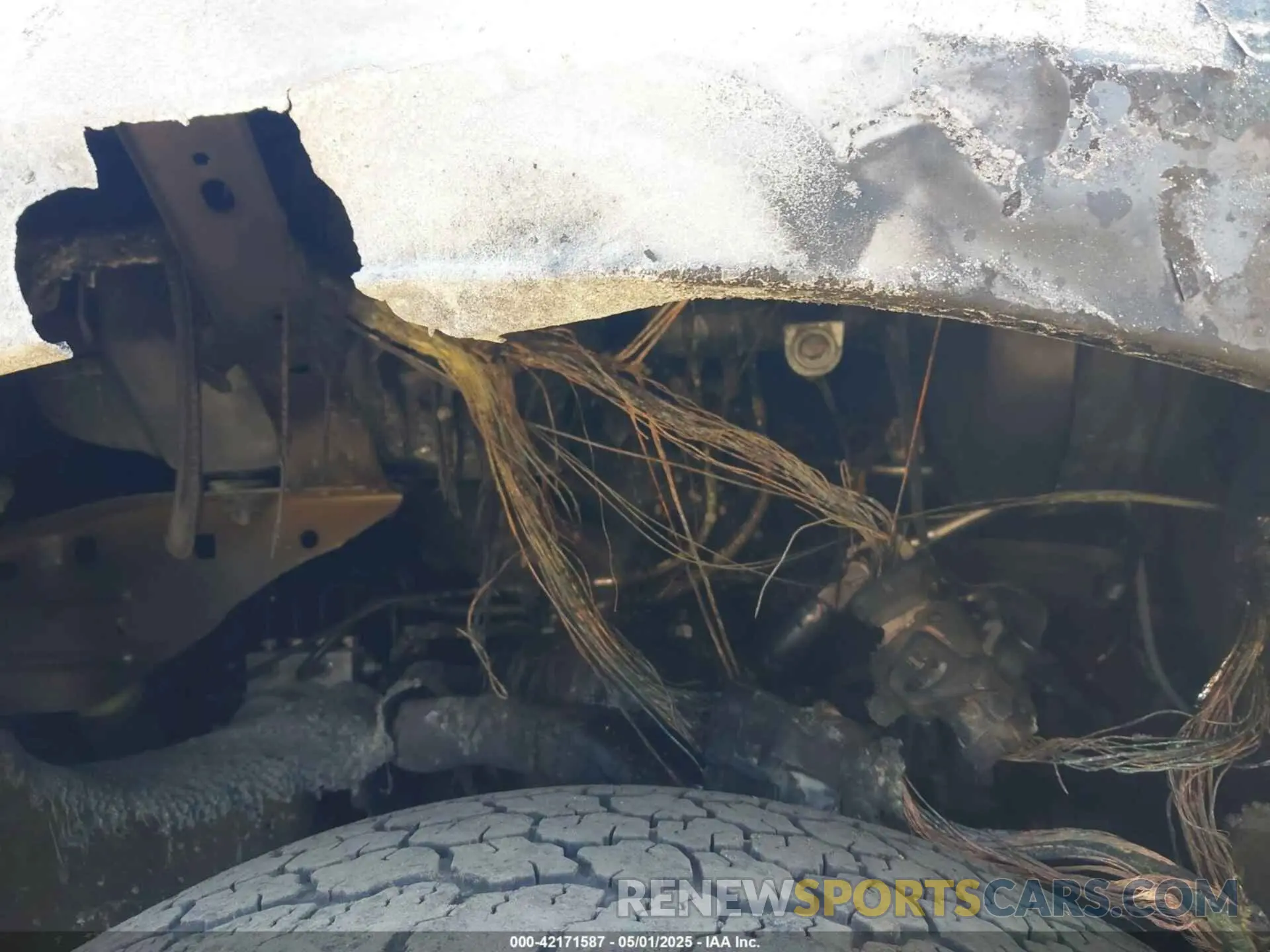12 Photograph of a damaged car 1FTEW1E4XKKF30179 FORD F-150 2019