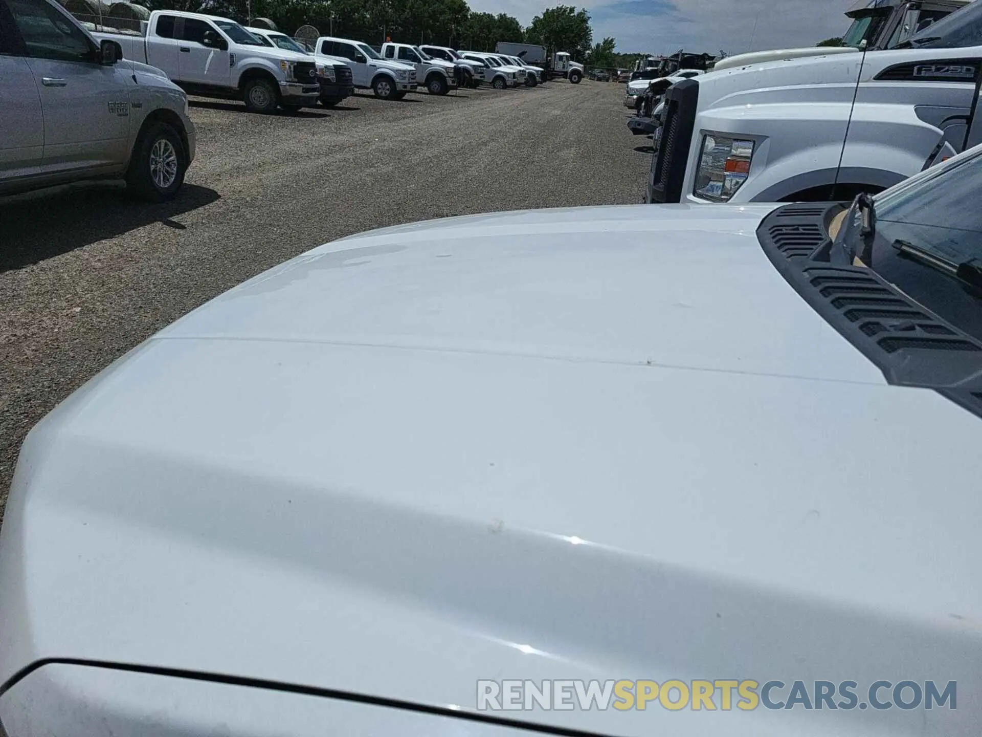 21 Photograph of a damaged car 1FTEW1E51KKD51103 FORD F-150 2019