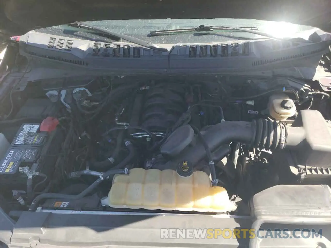 11 Photograph of a damaged car 1FTEW1E52KFC75559 FORD F-150 2019