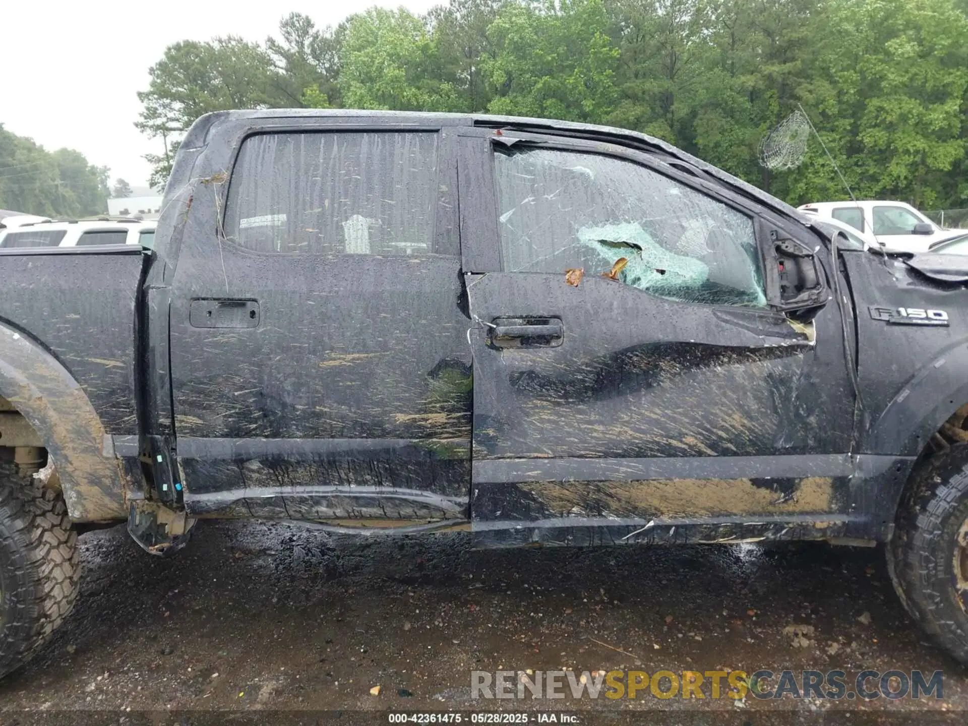 12 Photograph of a damaged car 1FTEW1E52KKE86512 FORD F-150 2019