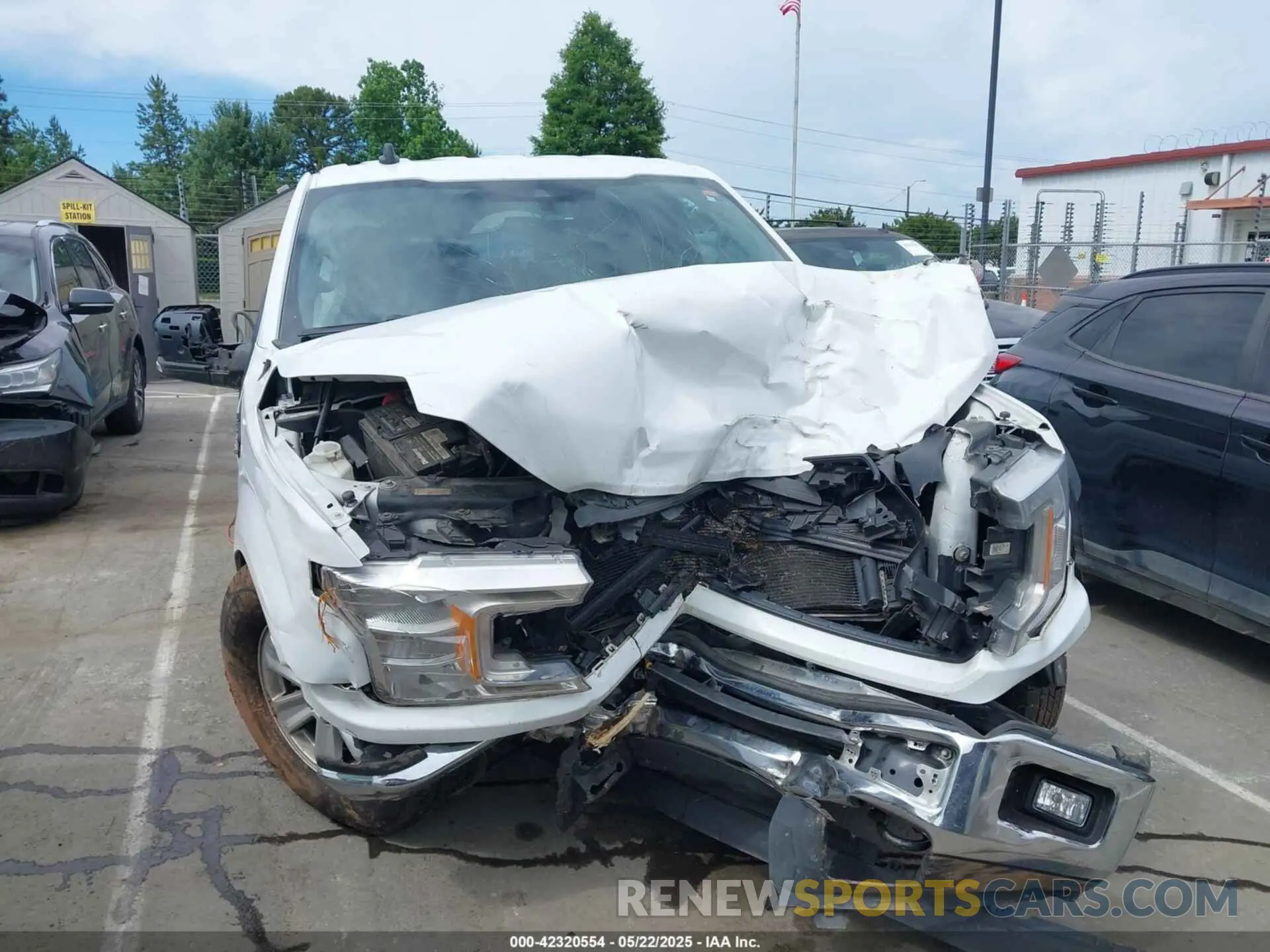 12 Photograph of a damaged car 1FTEW1E53KFD17091 FORD F-150 2019