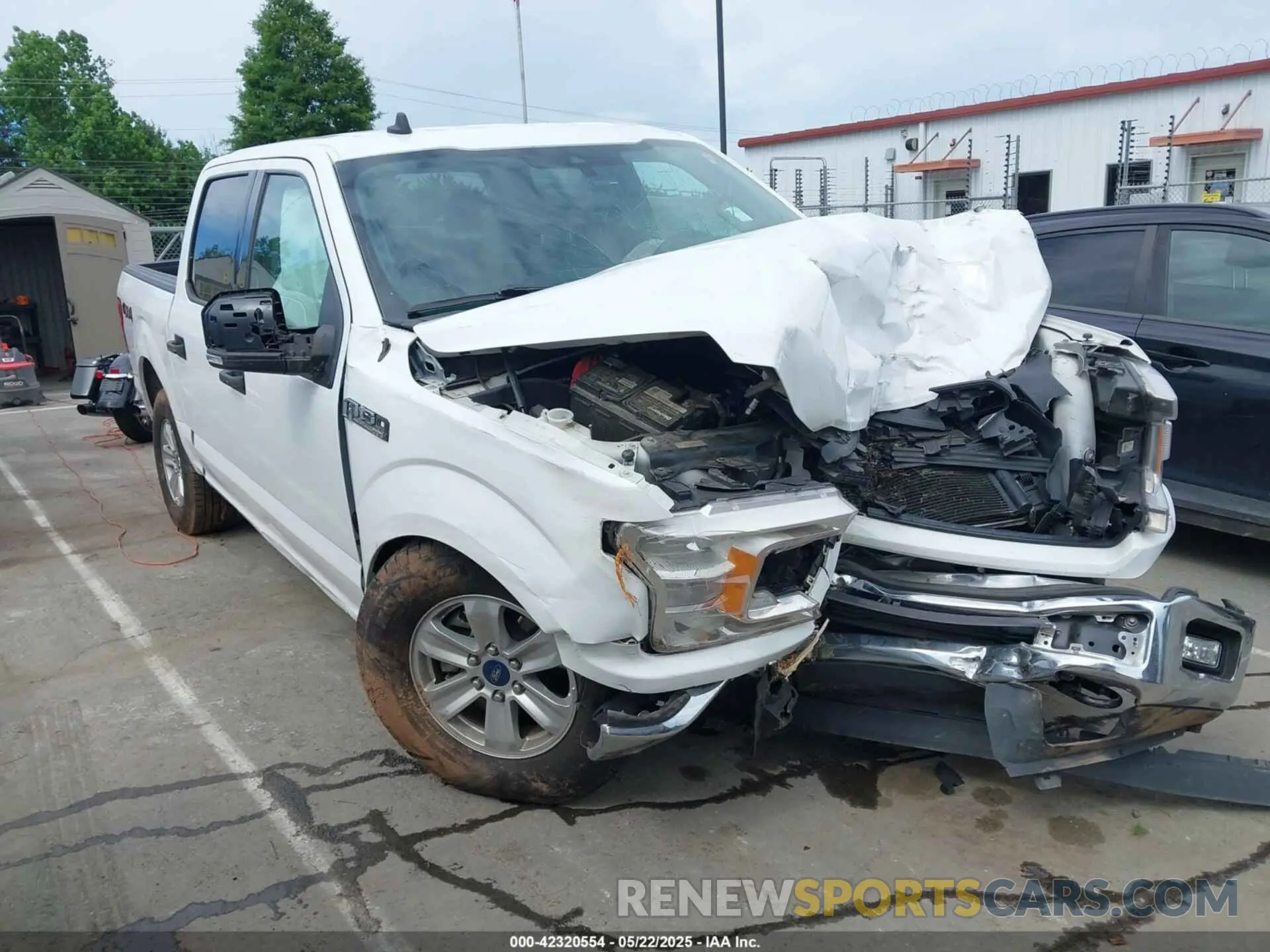 13 Photograph of a damaged car 1FTEW1E53KFD17091 FORD F-150 2019