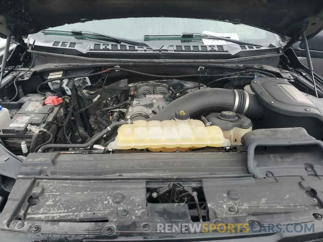 12 Photograph of a damaged car 1FTEW1E54KFB29499 FORD F-150 2019