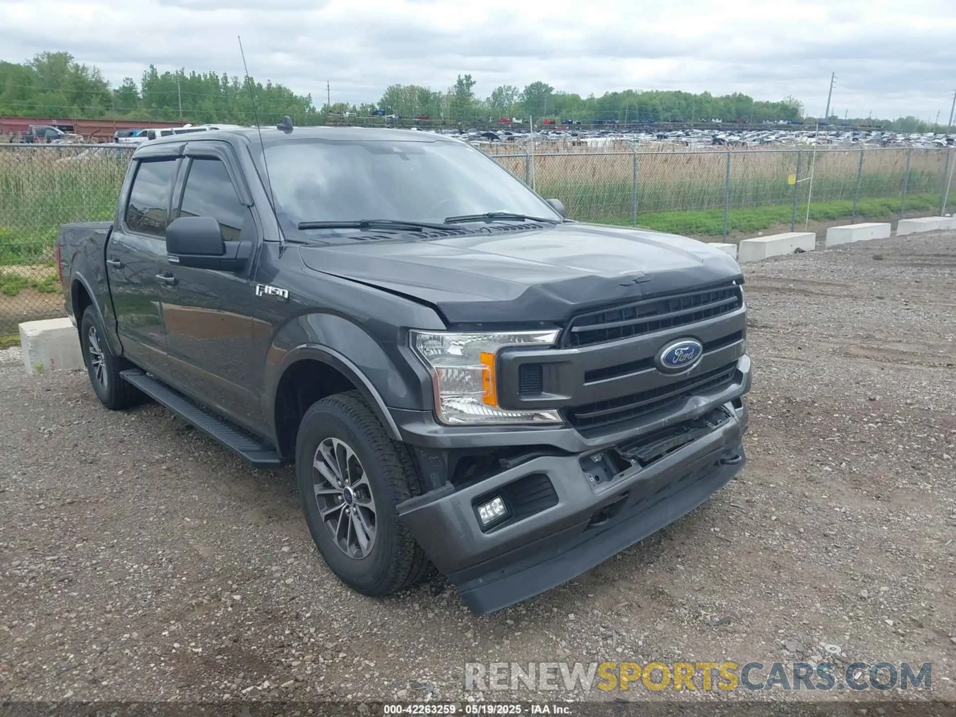 1 Photograph of a damaged car 1FTEW1E54KFD52495 FORD F-150 2019