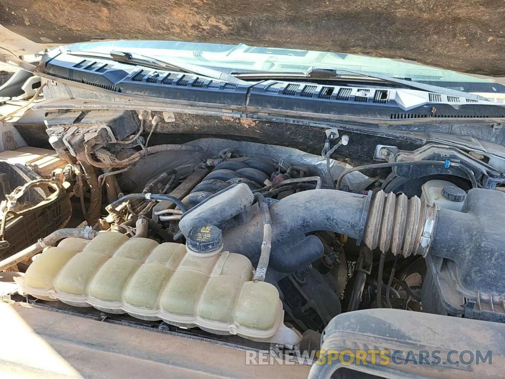 13 Photograph of a damaged car 1FTEW1E54KKC71780 FORD F-150 2019