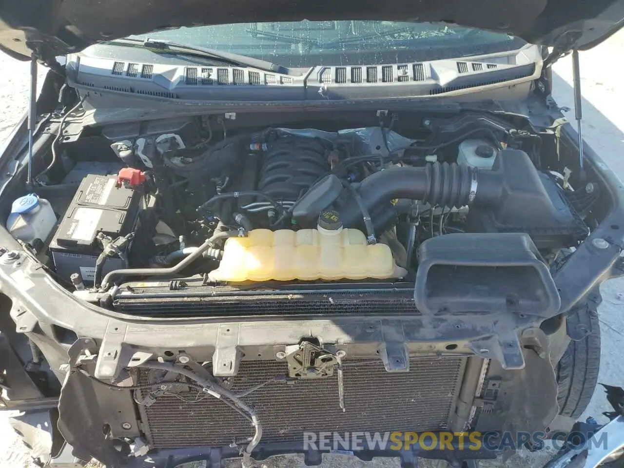 11 Photograph of a damaged car 1FTEW1E55KFA39259 FORD F-150 2019