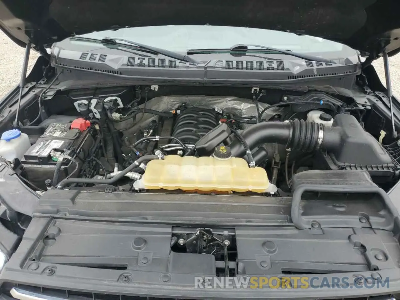 12 Photograph of a damaged car 1FTEW1E55KFB20343 FORD F-150 2019