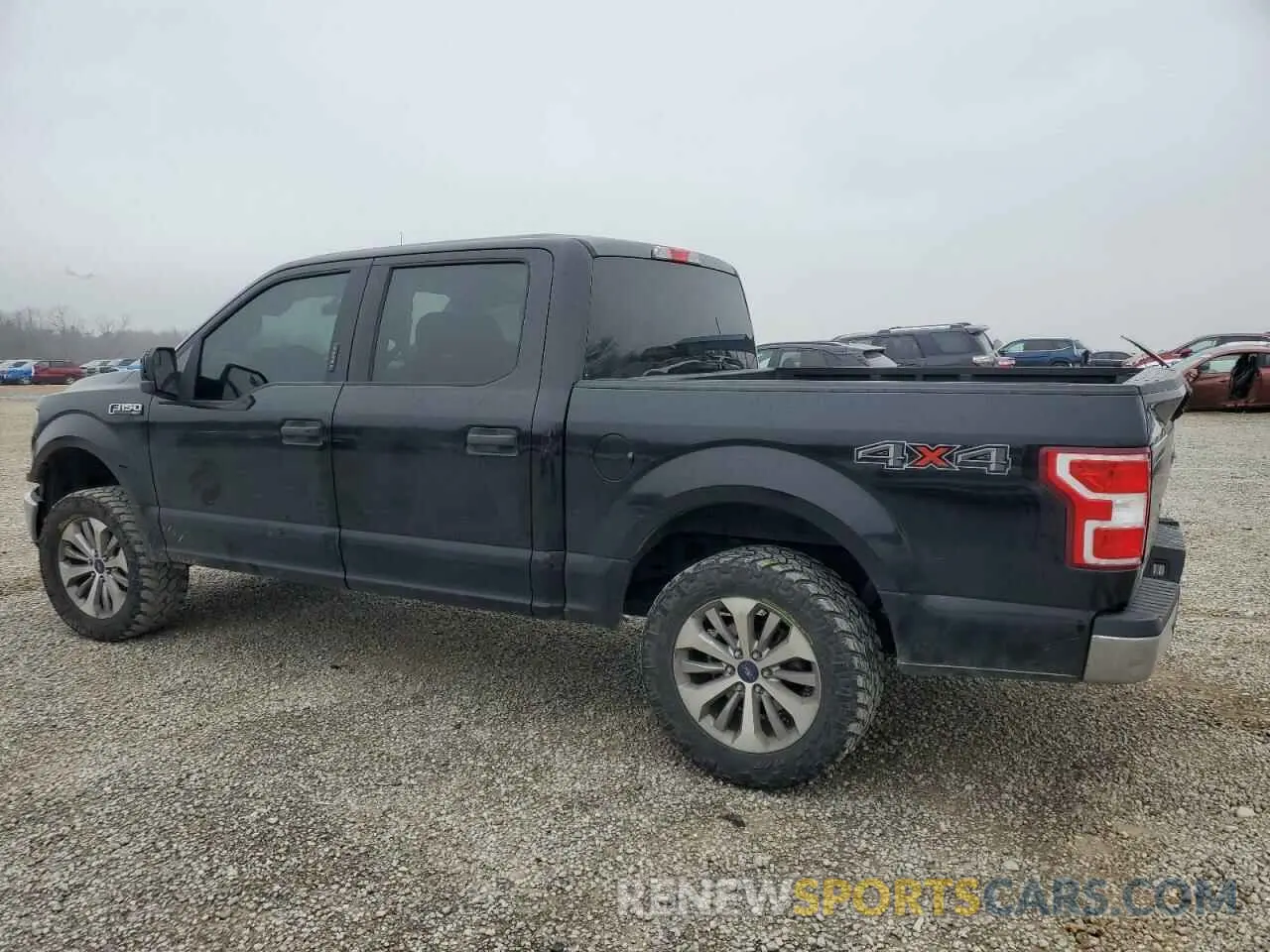 2 Photograph of a damaged car 1FTEW1E55KFB20343 FORD F-150 2019