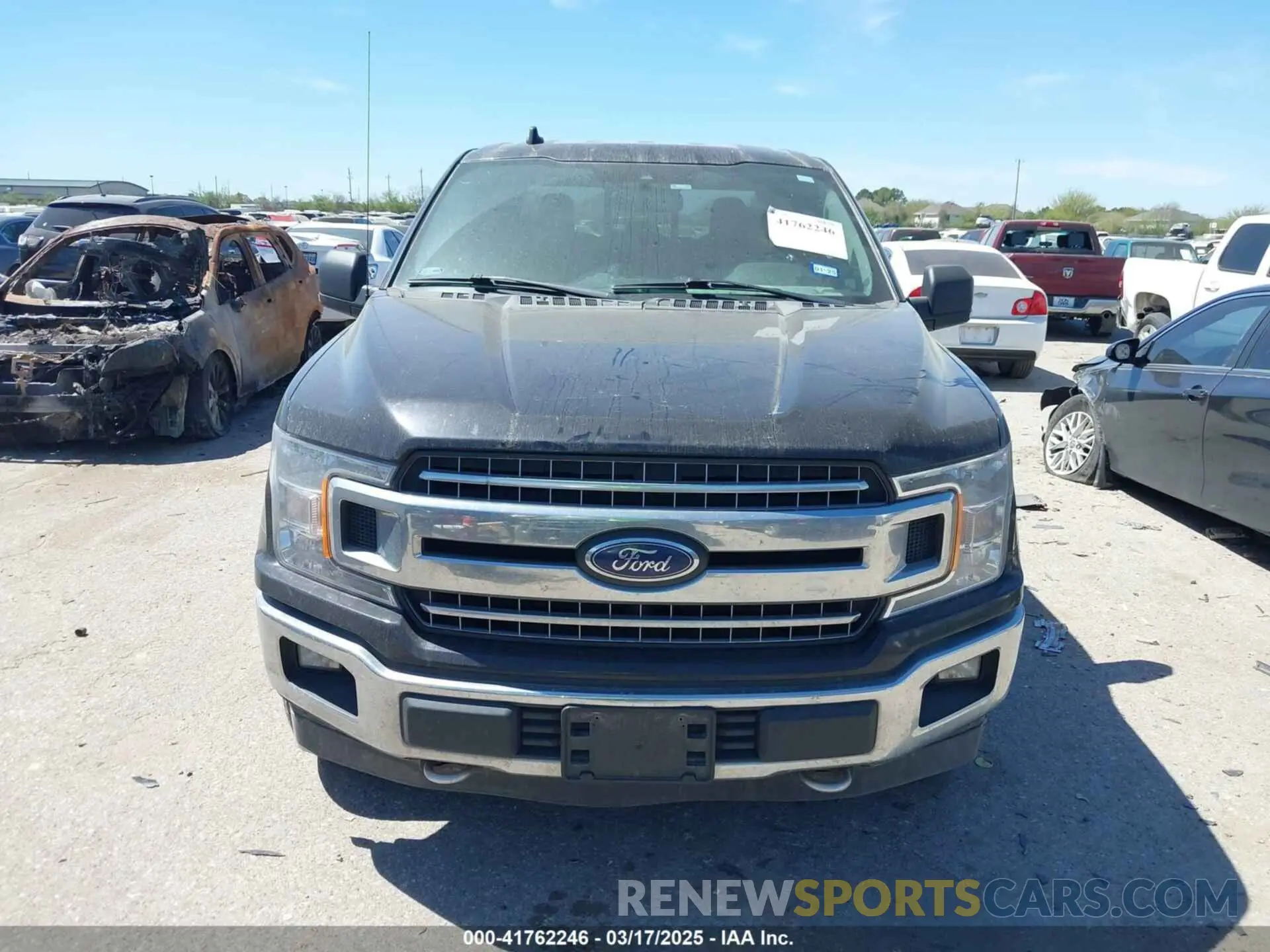 12 Photograph of a damaged car 1FTEW1E55KKD26673 FORD F-150 2019