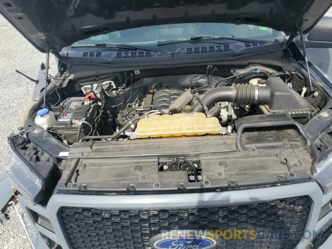 12 Photograph of a damaged car 1FTEW1E57KKD04433 FORD F-150 2019