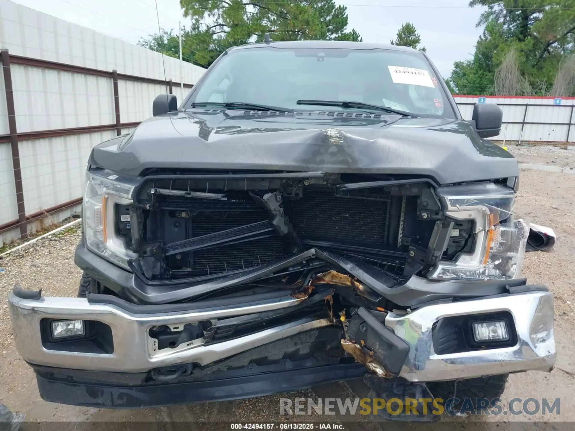 12 Photograph of a damaged car 1FTEW1E59KKD15305 FORD F-150 2019