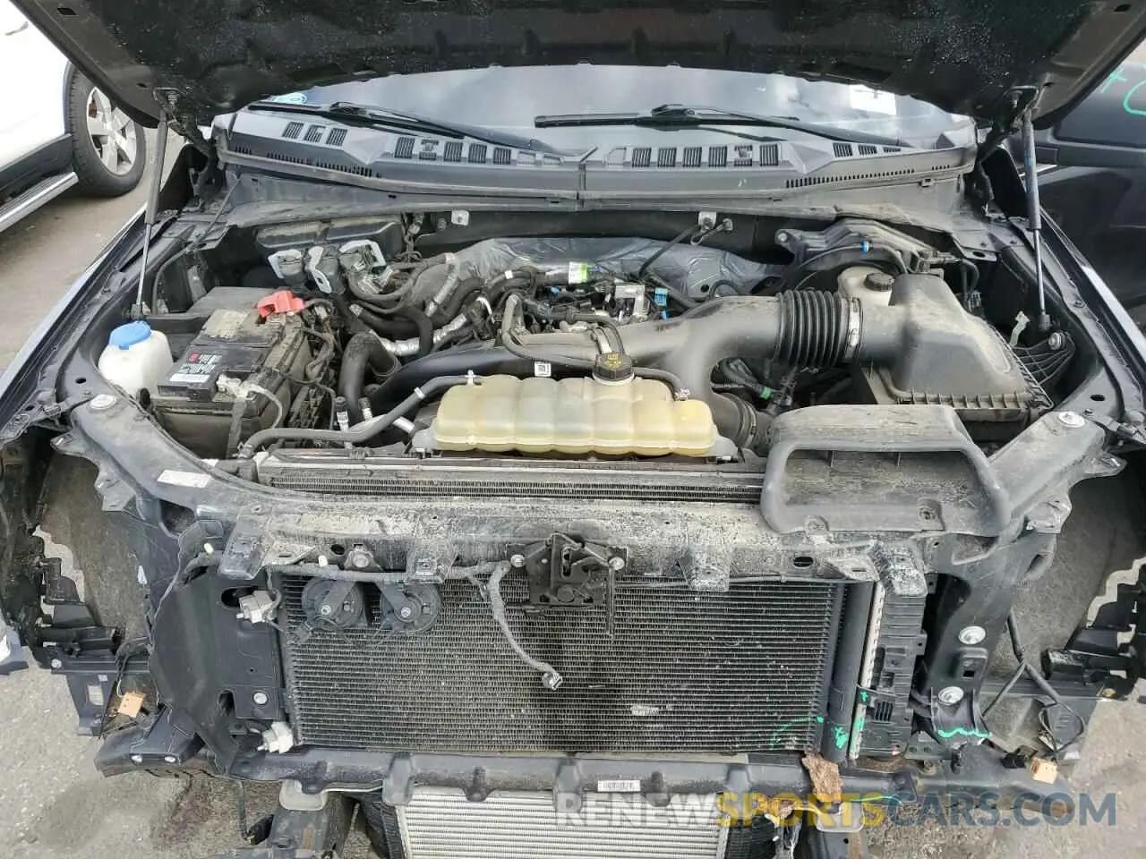 11 Photograph of a damaged car 1FTEW1EP0KKD47884 FORD F-150 2019