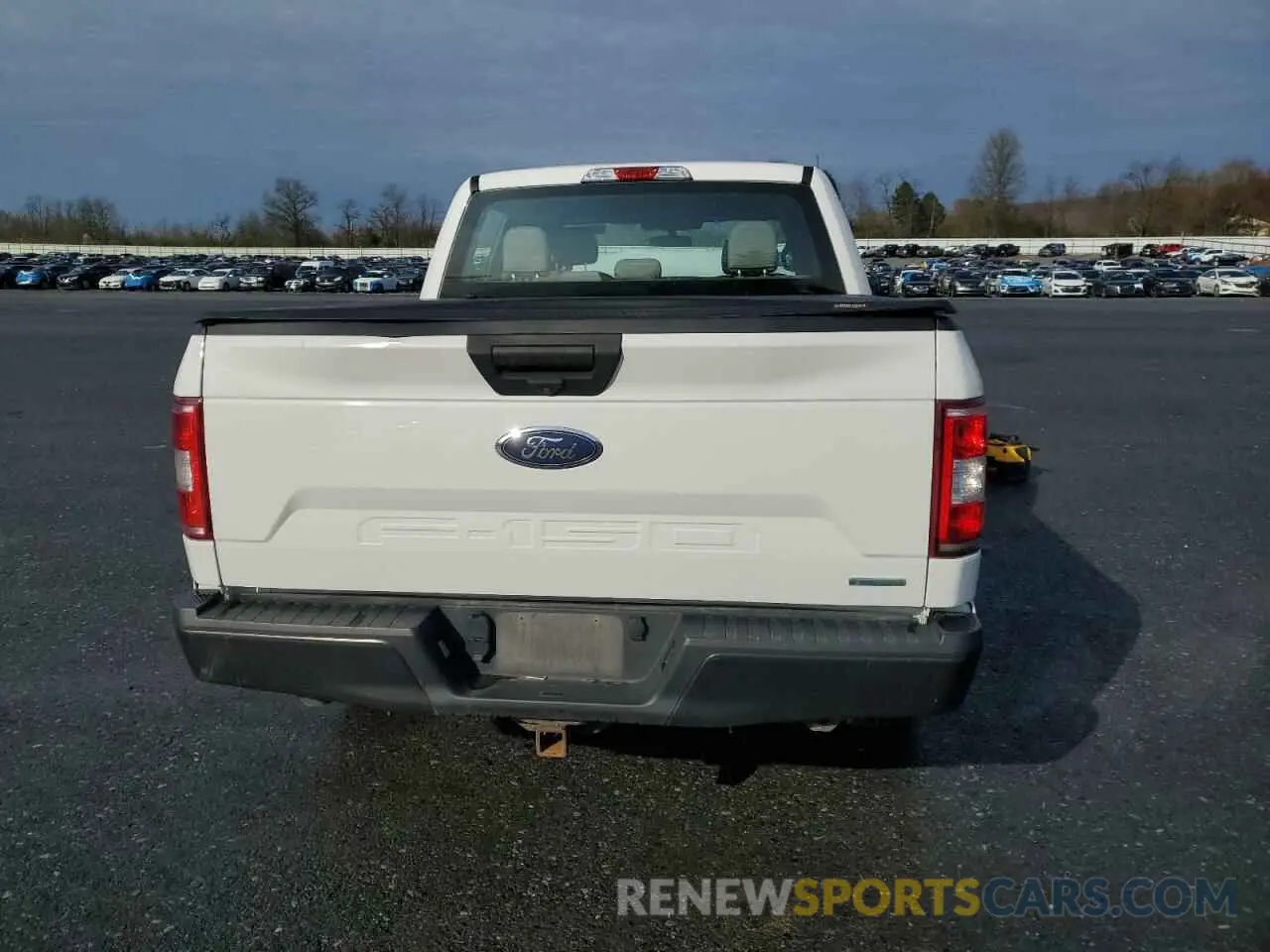 6 Photograph of a damaged car 1FTEW1EP1KFA67786 FORD F-150 2019