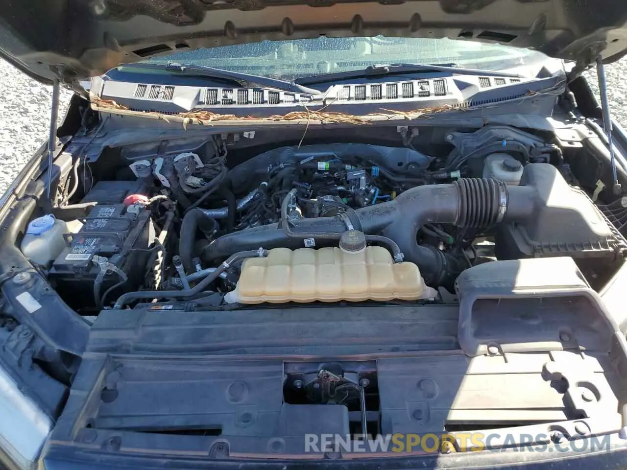 13 Photograph of a damaged car 1FTEW1EP1KFB59853 FORD F-150 2019