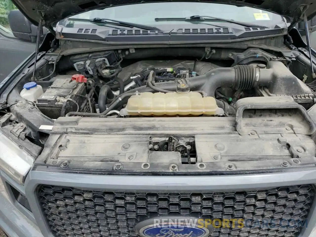 12 Photograph of a damaged car 1FTEW1EP1KKE43619 FORD F-150 2019