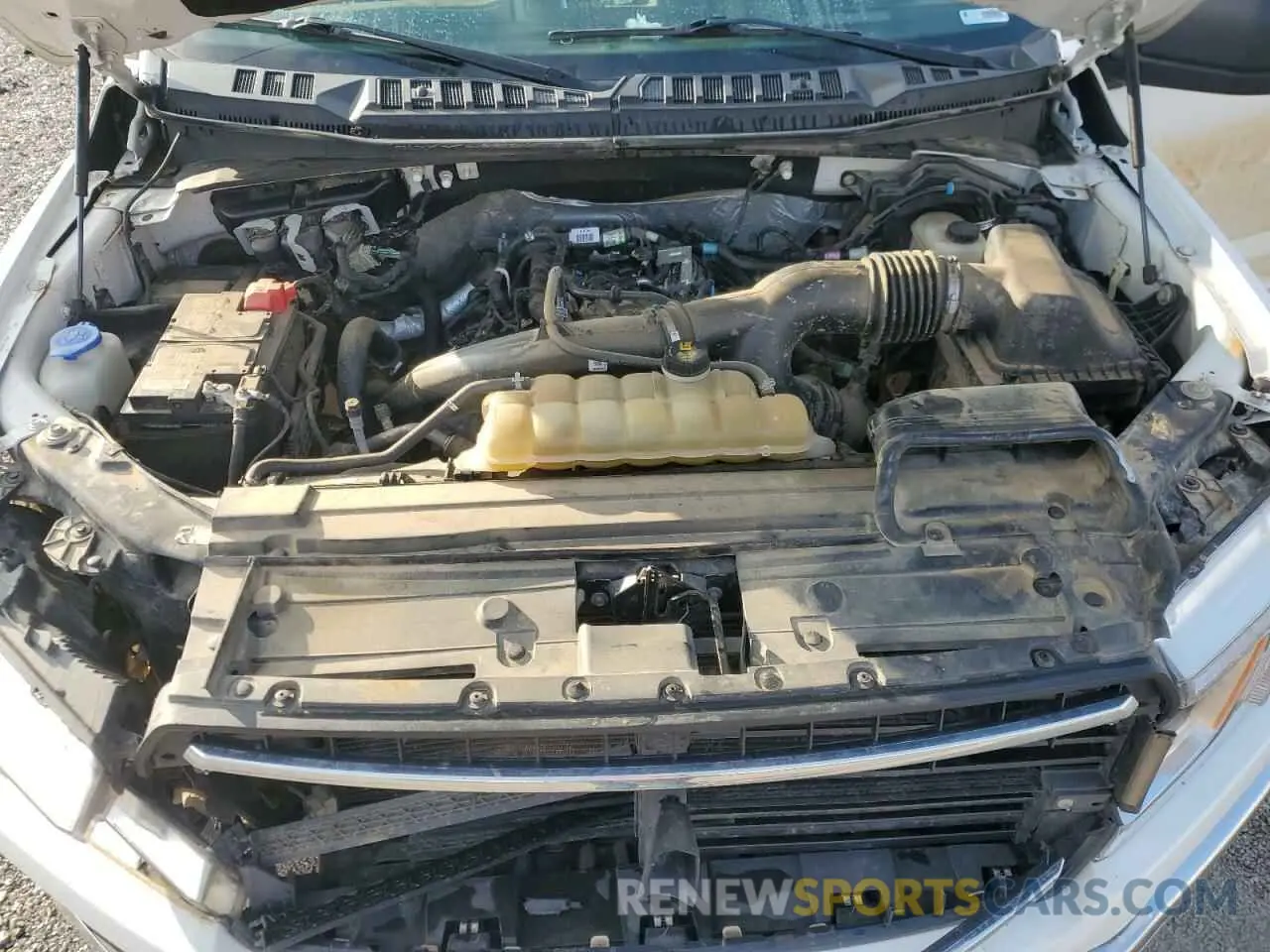 12 Photograph of a damaged car 1FTEW1EP1KKE88835 FORD F-150 2019