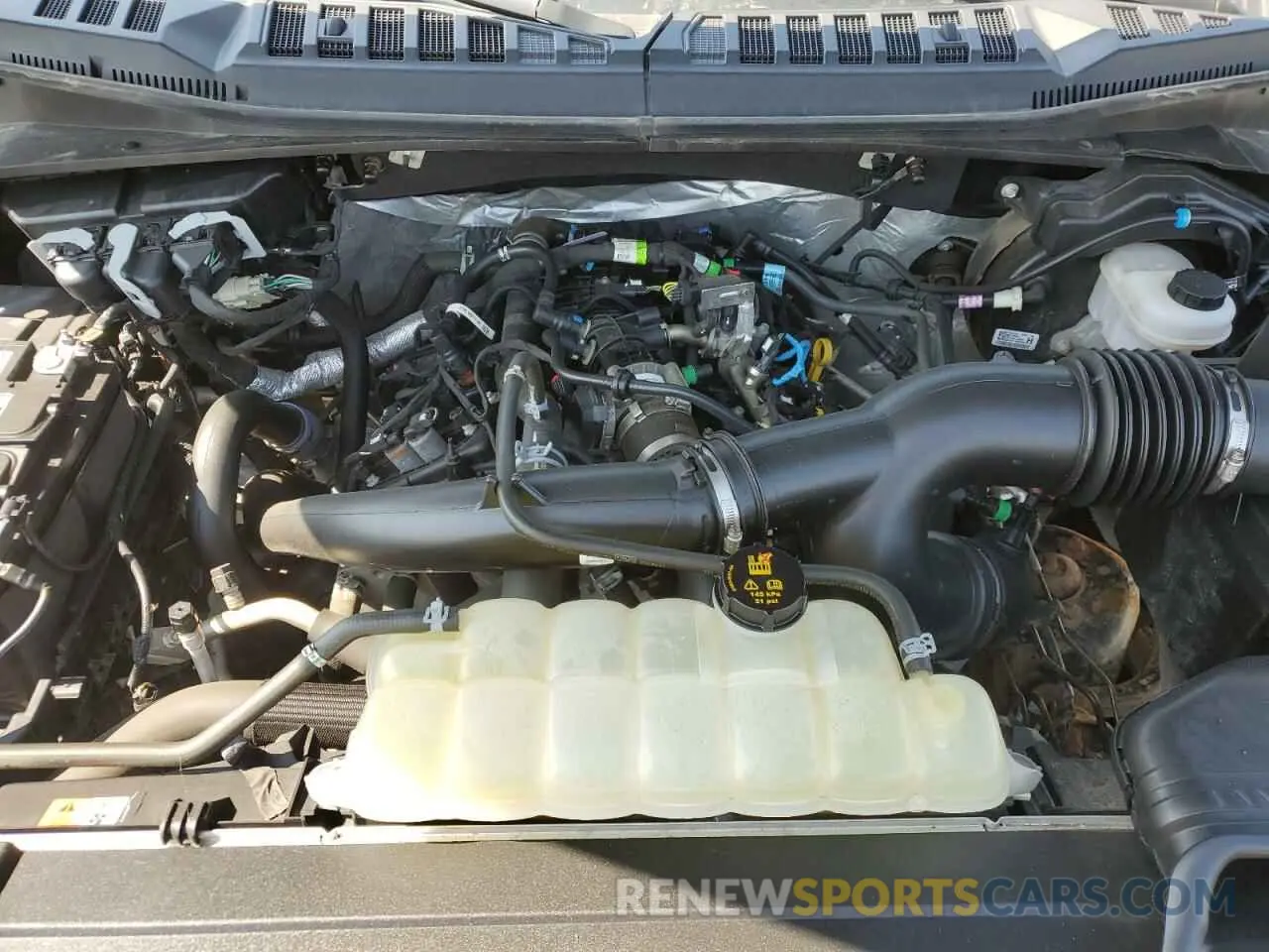 11 Photograph of a damaged car 1FTEW1EP3KFB37076 FORD F-150 2019