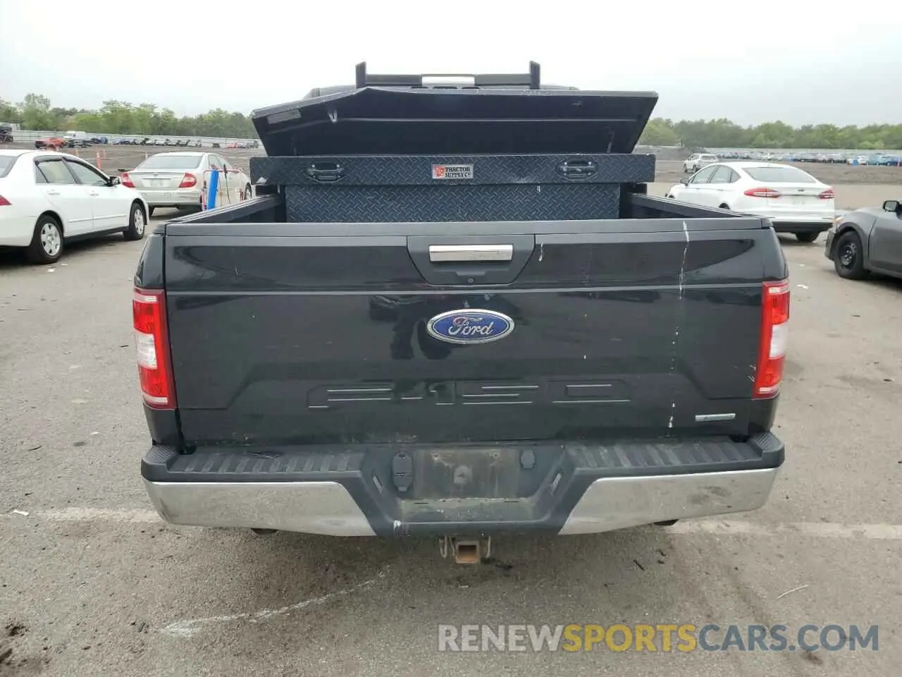 6 Photograph of a damaged car 1FTEW1EP5KFA91010 FORD F-150 2019