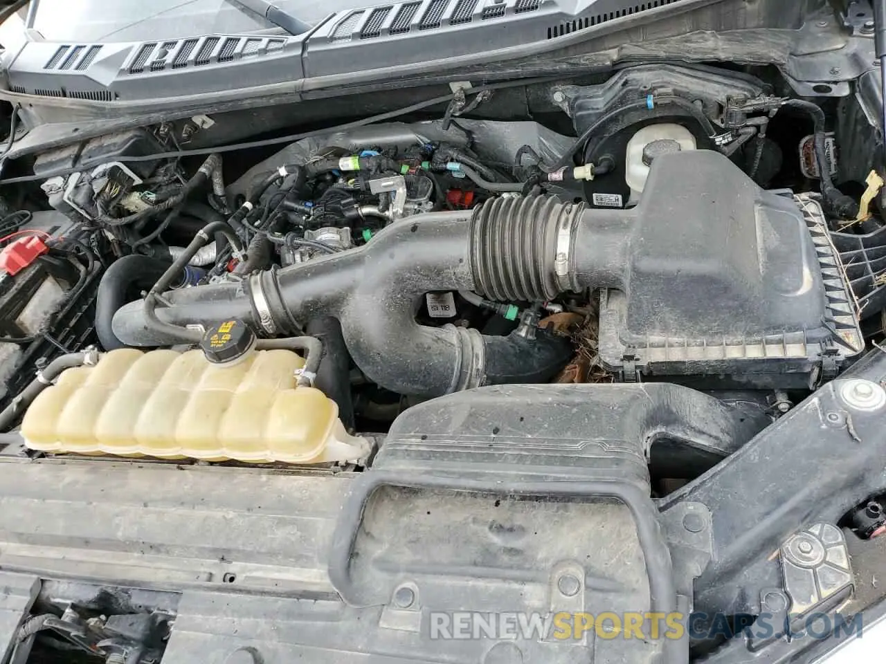 11 Photograph of a damaged car 1FTEW1EP5KKC97354 FORD F-150 2019
