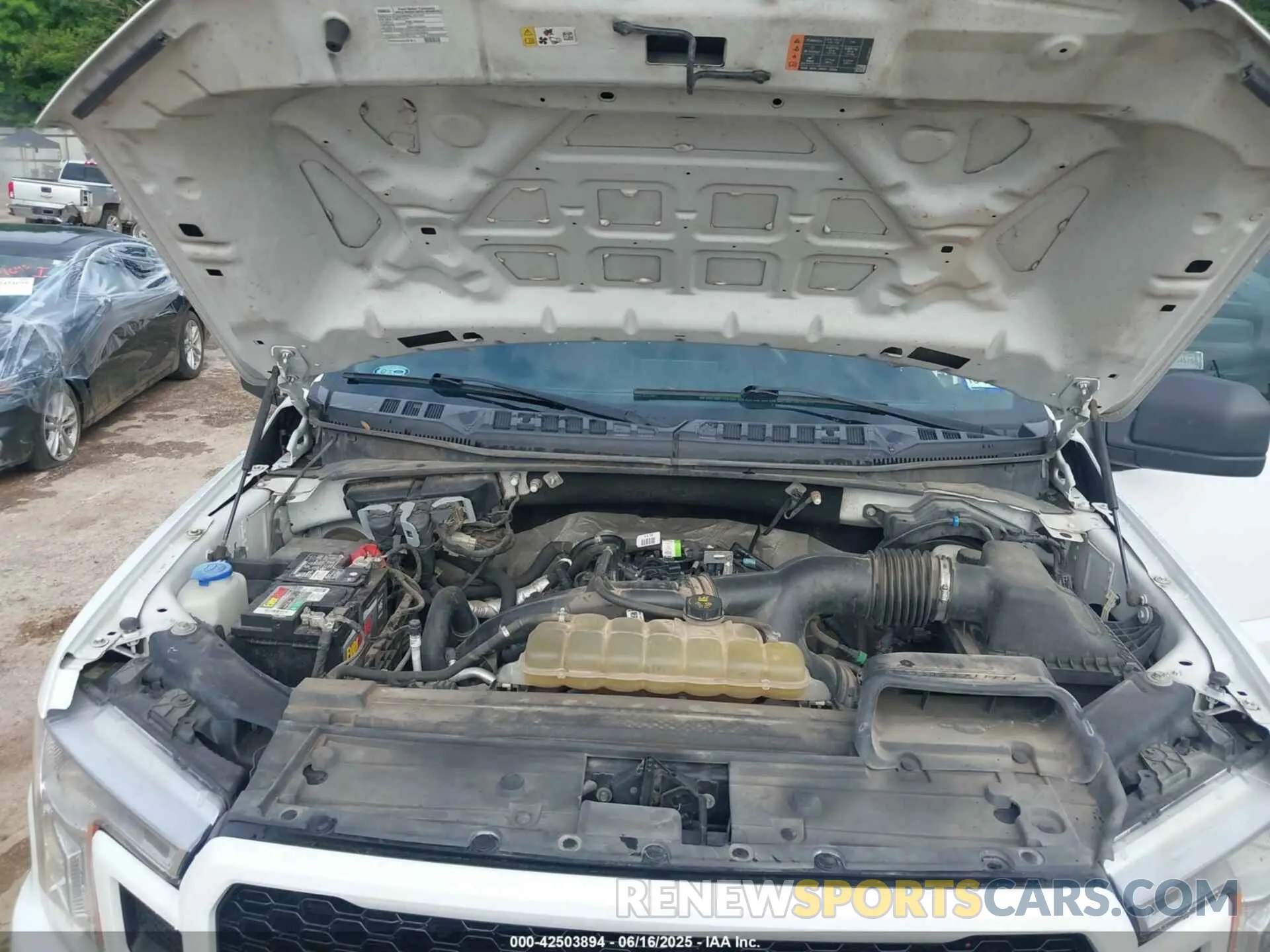 10 Photograph of a damaged car 1FTEW1EP6KKD03324 FORD F-150 2019