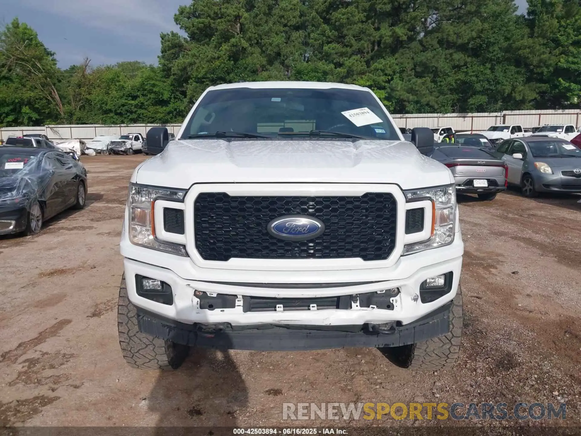 6 Photograph of a damaged car 1FTEW1EP6KKD03324 FORD F-150 2019