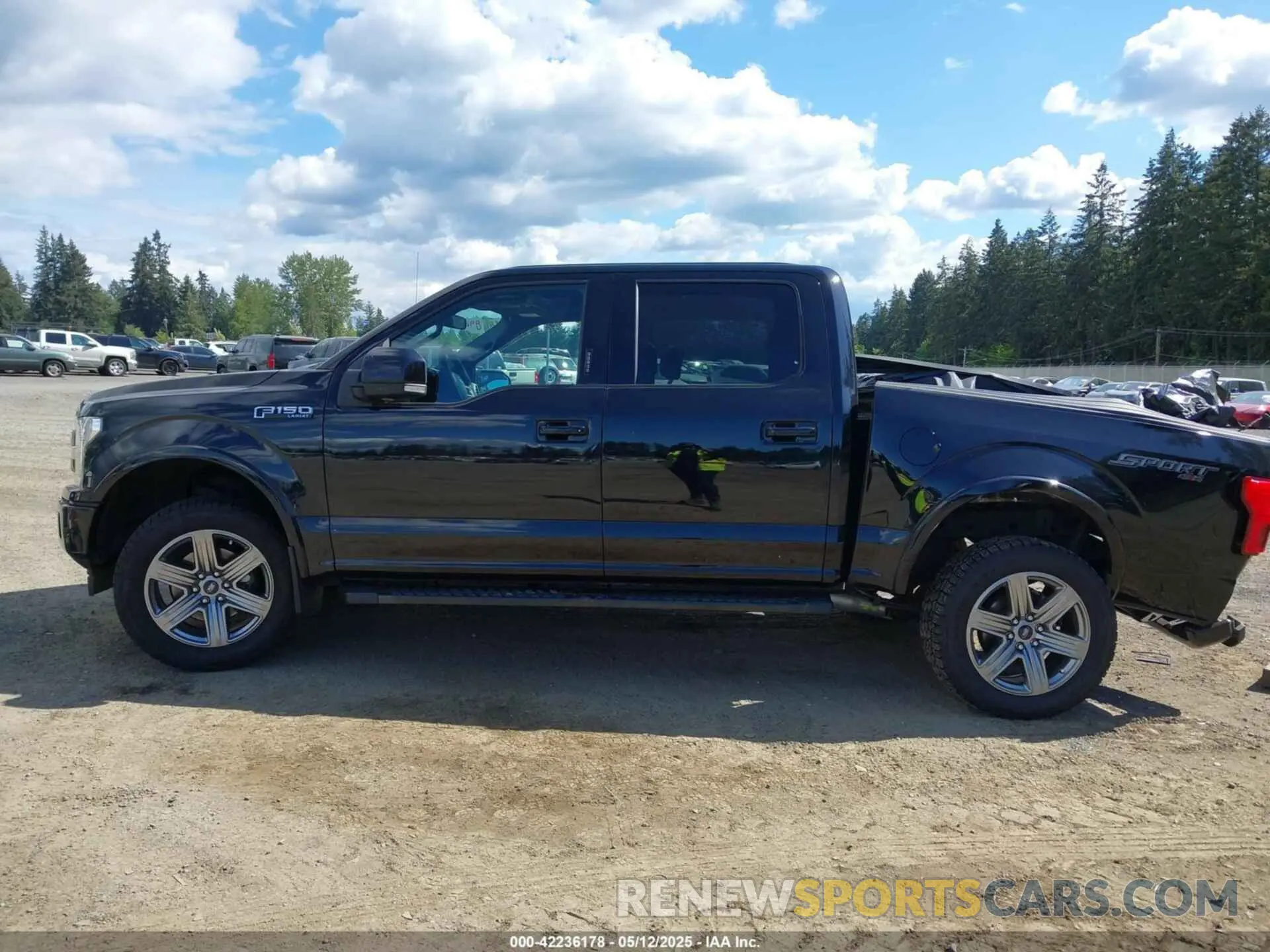 14 Photograph of a damaged car 1FTEW1EP7KFA70661 FORD F-150 2019