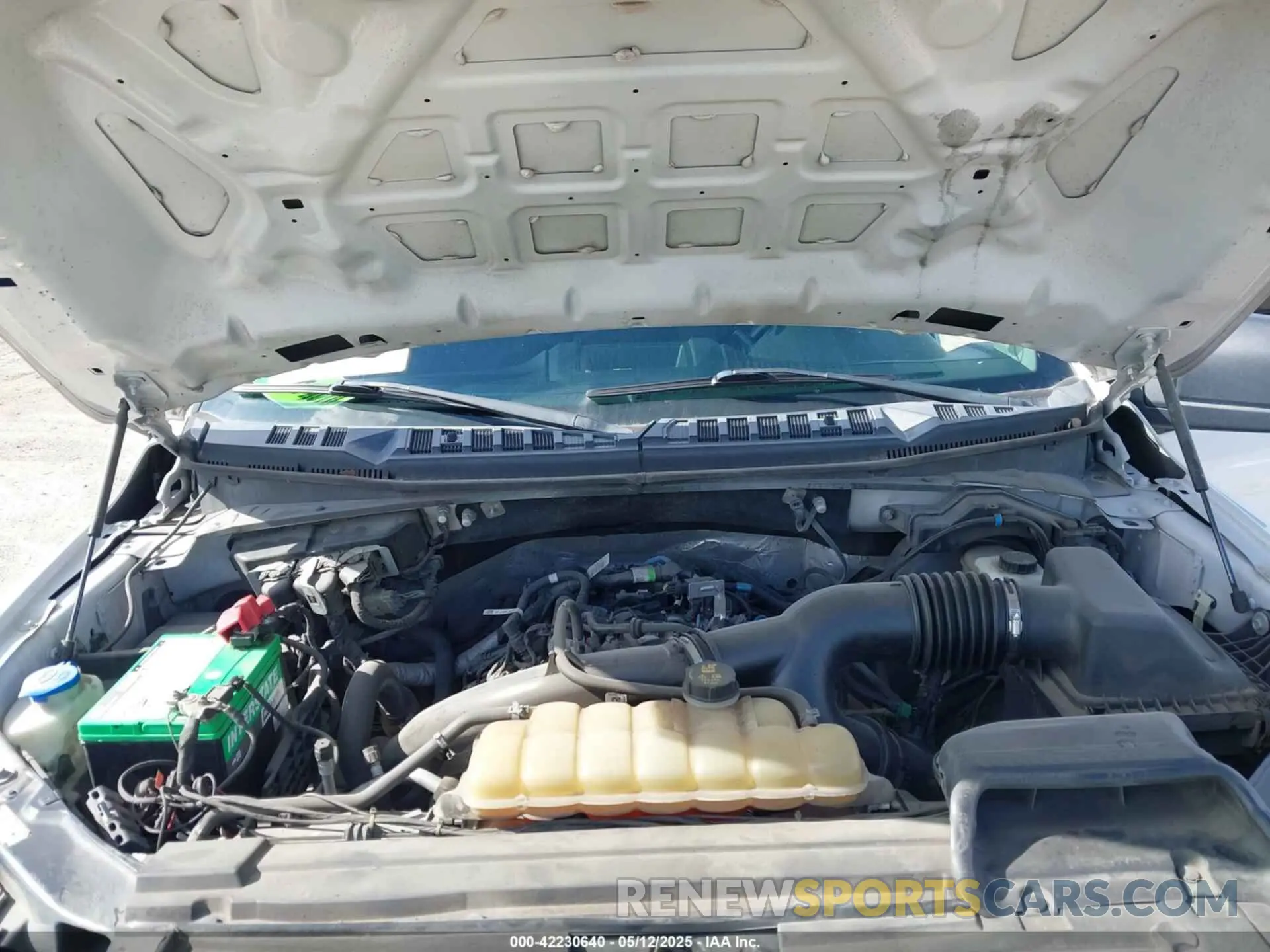10 Photograph of a damaged car 1FTEW1EP7KFB10186 FORD F-150 2019
