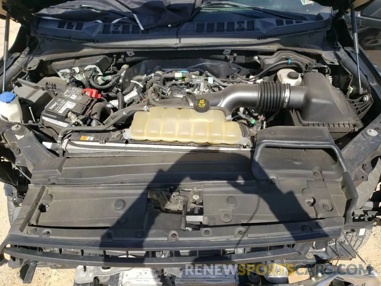 12 Photograph of a damaged car 1FTEW1EP7KFB16070 FORD F-150 2019