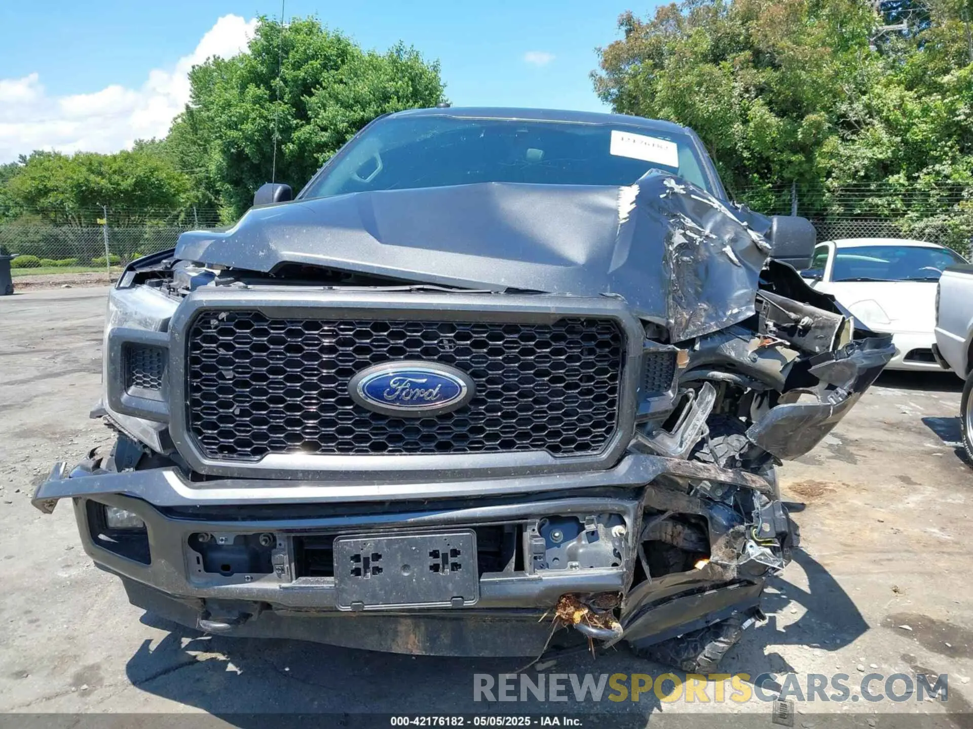 12 Photograph of a damaged car 1FTEW1EP7KFC28853 FORD F-150 2019