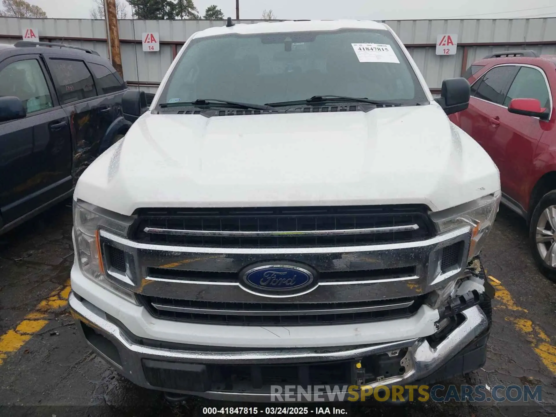 12 Photograph of a damaged car 1FTEW1EP7KKC70866 FORD F-150 2019