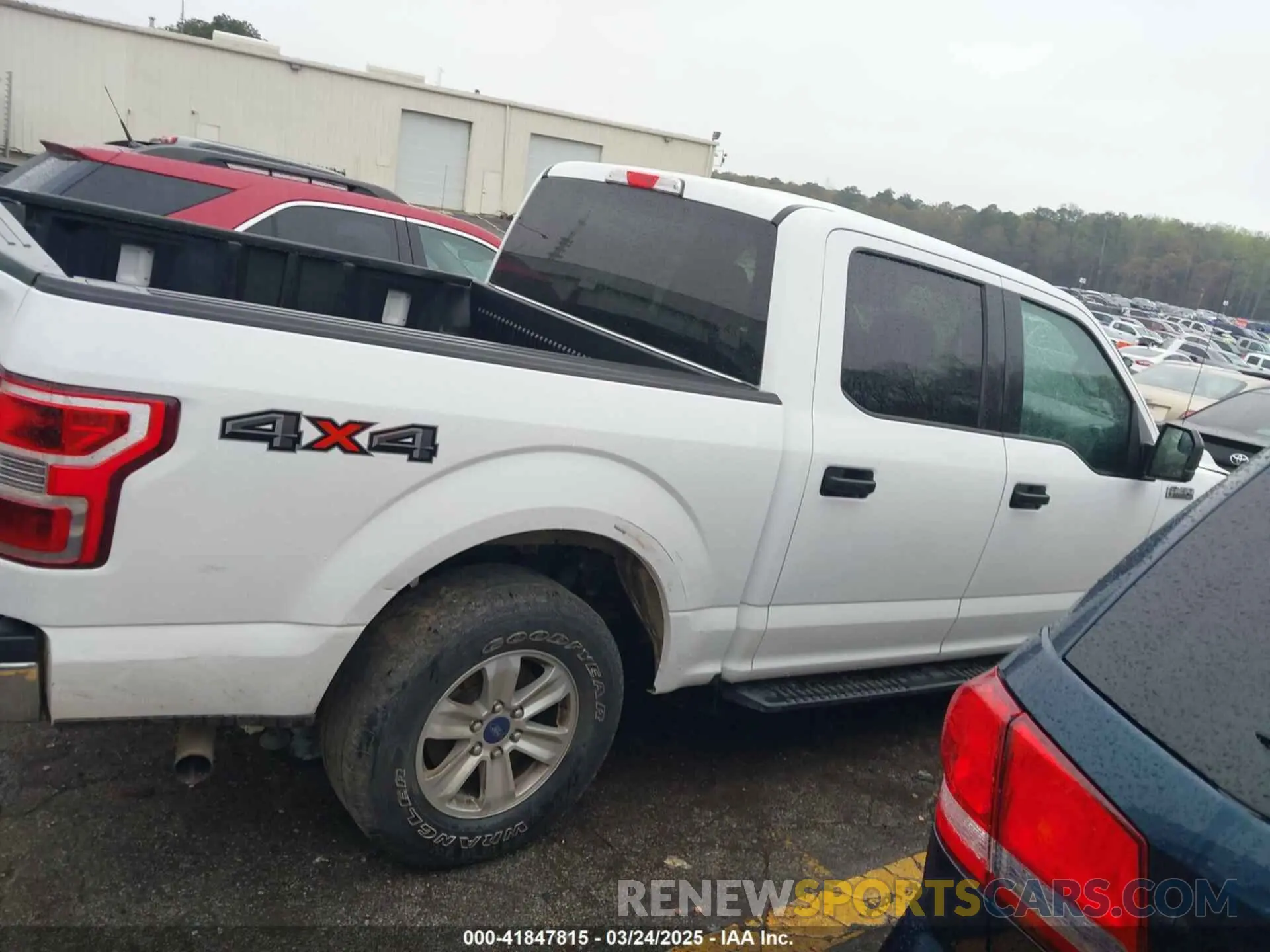 13 Photograph of a damaged car 1FTEW1EP7KKC70866 FORD F-150 2019