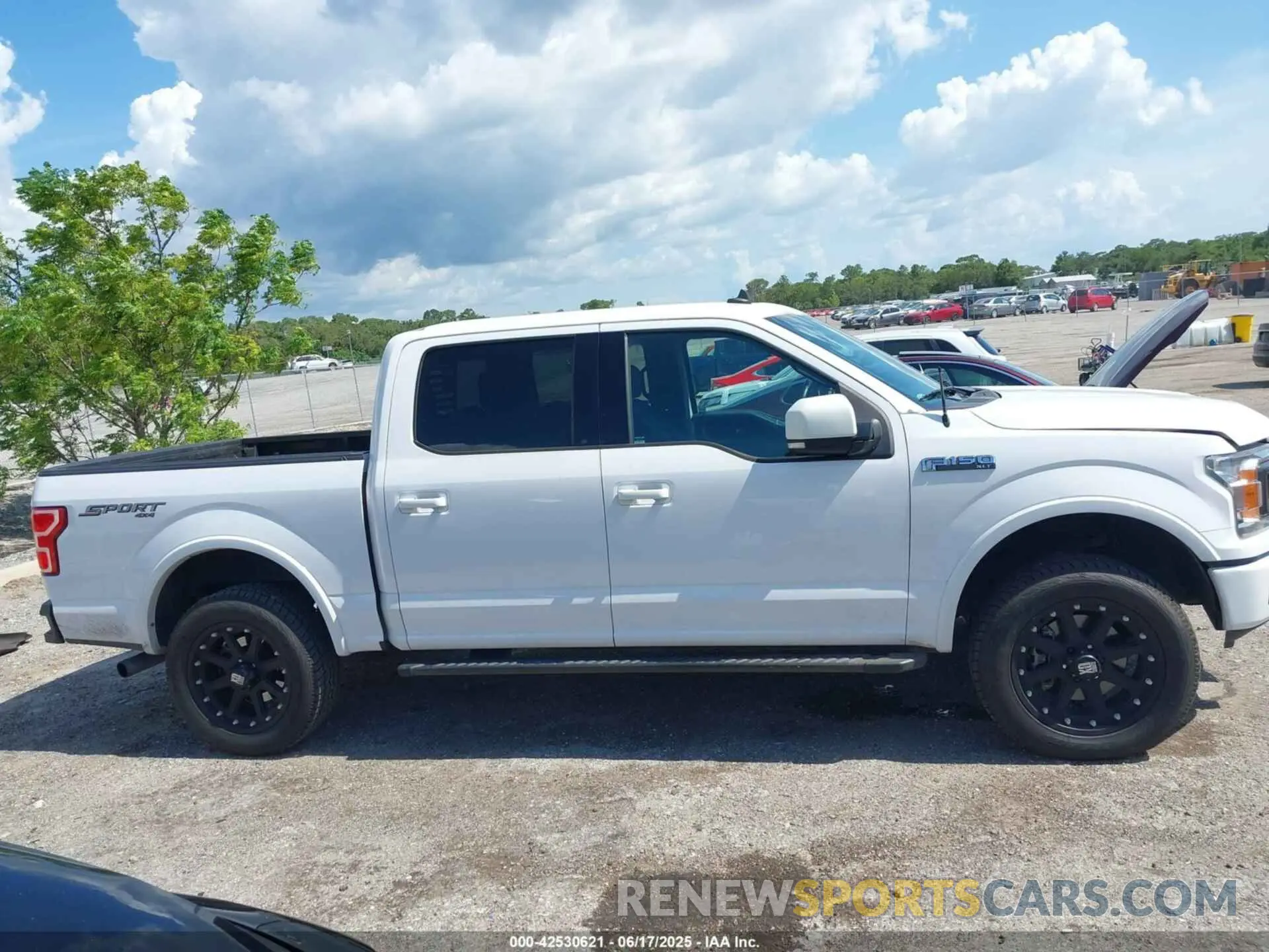 13 Photograph of a damaged car 1FTEW1EP7KKD89887 FORD F-150 2019