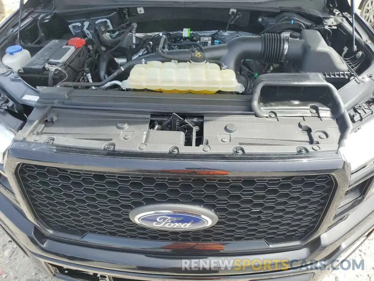 11 Photograph of a damaged car 1FTEW1EP7KKF06240 FORD F-150 2019