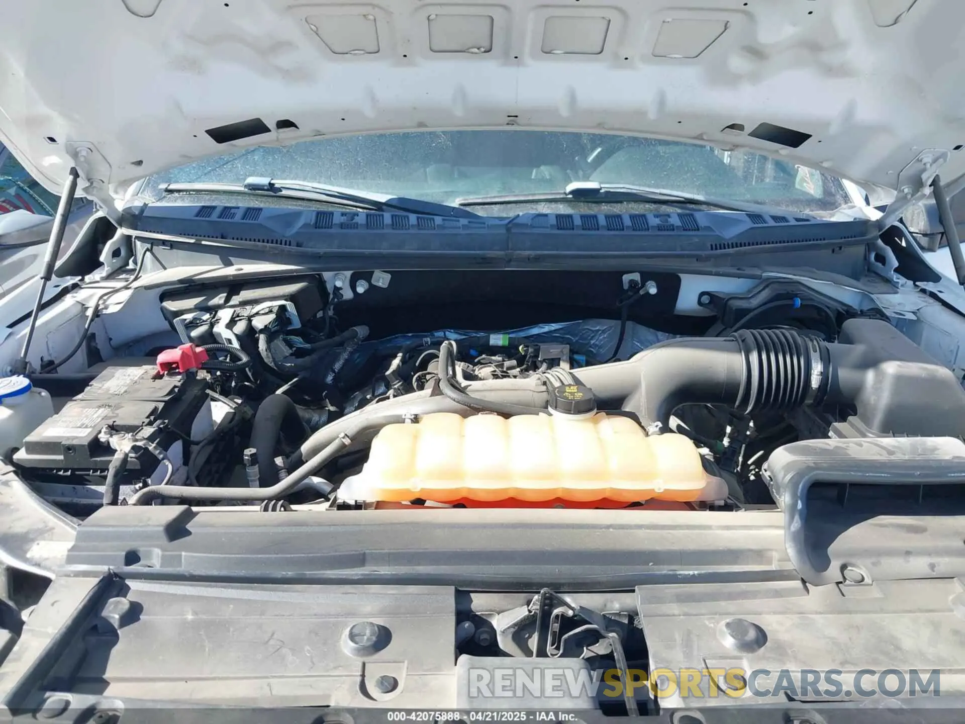 10 Photograph of a damaged car 1FTEW1EP8KKC36578 FORD F-150 2019