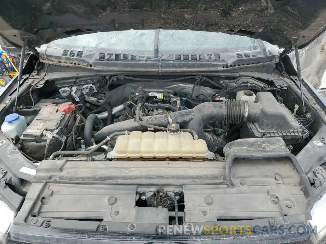 13 Photograph of a damaged car 1FTEW1EP8KKE03246 FORD F-150 2019