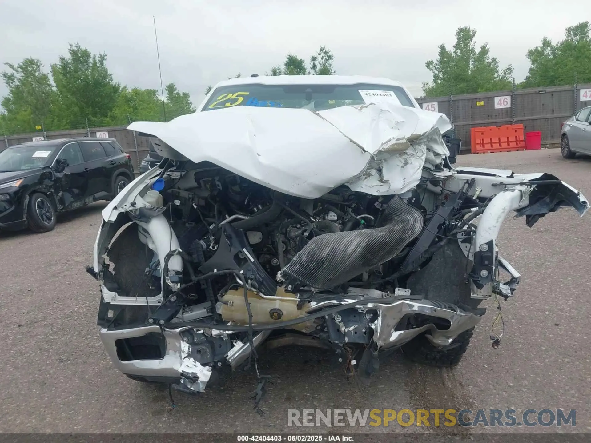 12 Photograph of a damaged car 1FTEW1EP9KKD58527 FORD F-150 2019