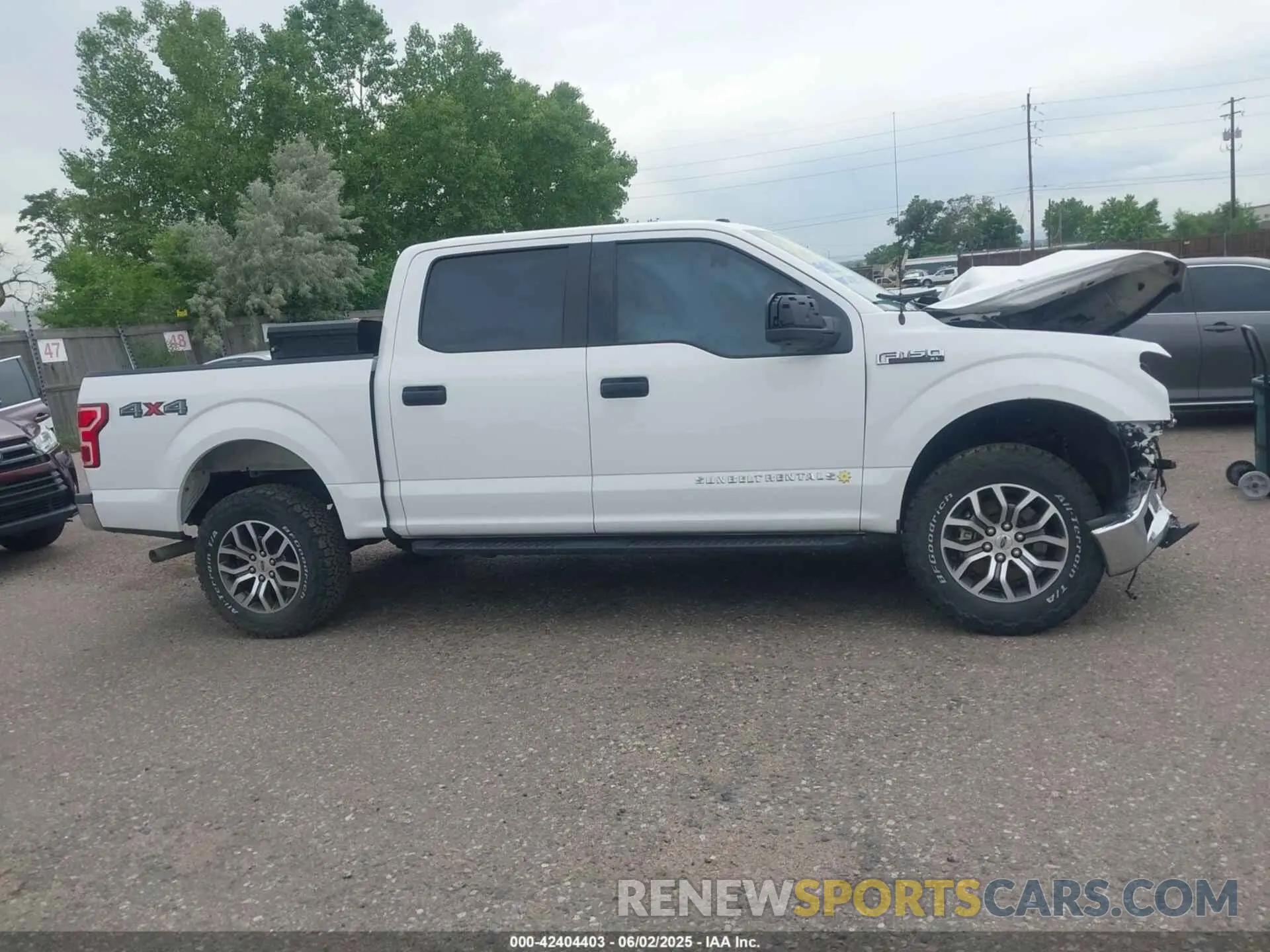 13 Photograph of a damaged car 1FTEW1EP9KKD58527 FORD F-150 2019