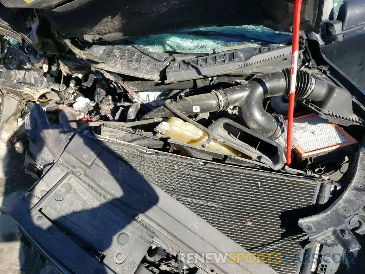 12 Photograph of a damaged car 1FTEW1EPXKFC44335 FORD F-150 2019