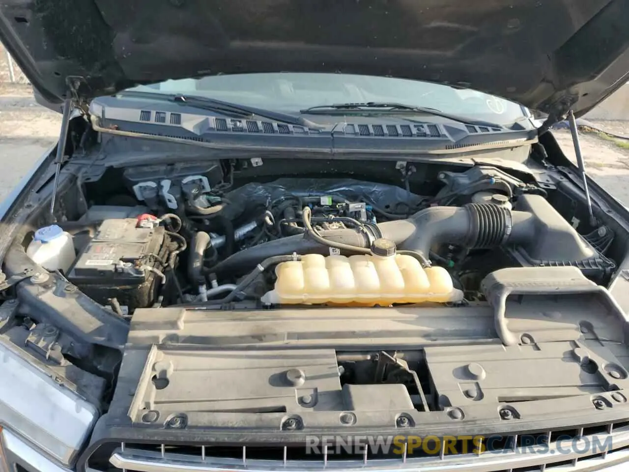 12 Photograph of a damaged car 1FTEW1EPXKFD13590 FORD F-150 2019