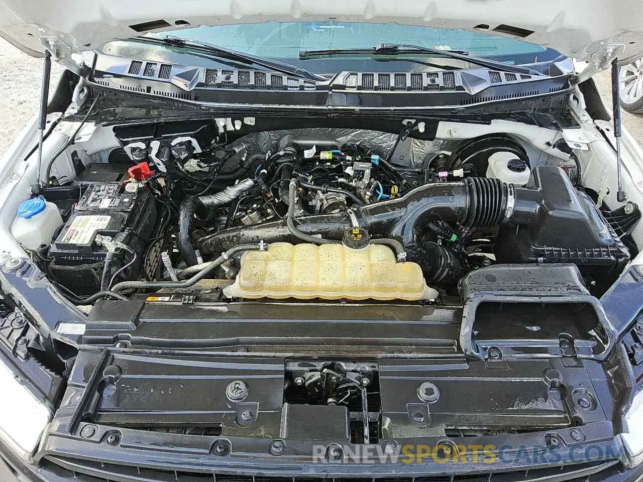 11 Photograph of a damaged car 1FTEX1CP3KKE83250 FORD F-150 2019