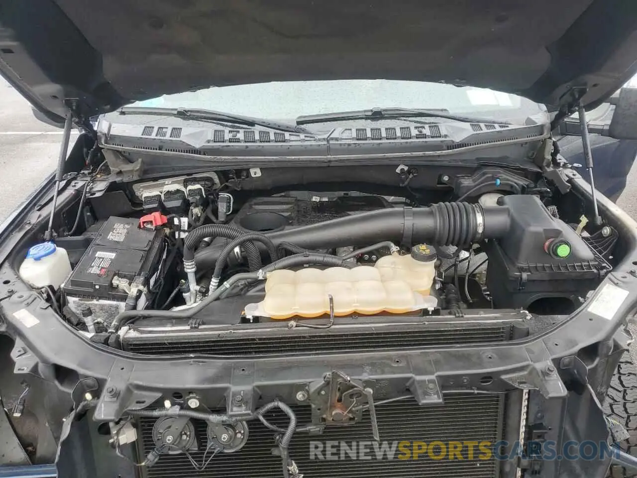 11 Photograph of a damaged car 1FTFW1E17KFA72216 FORD F-150 2019