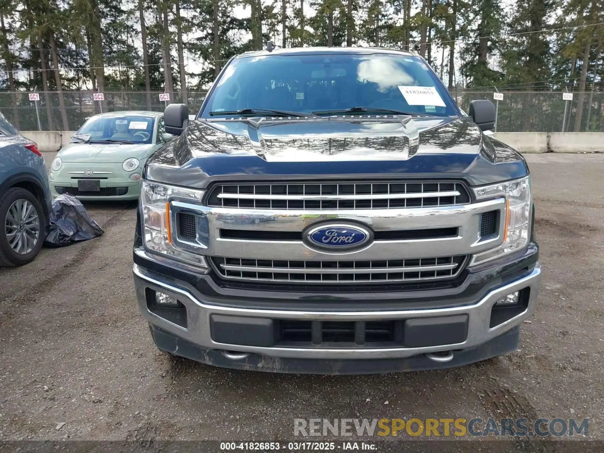 12 Photograph of a damaged car 1FTFW1E43KKD13822 FORD F-150 2019