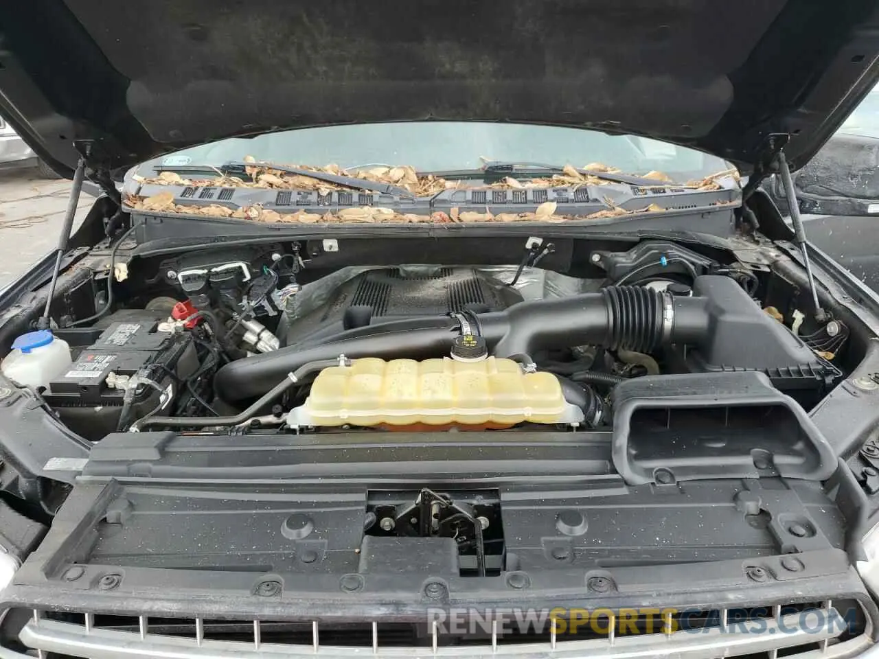 11 Photograph of a damaged car 1FTFW1E47KKE10215 FORD F-150 2019