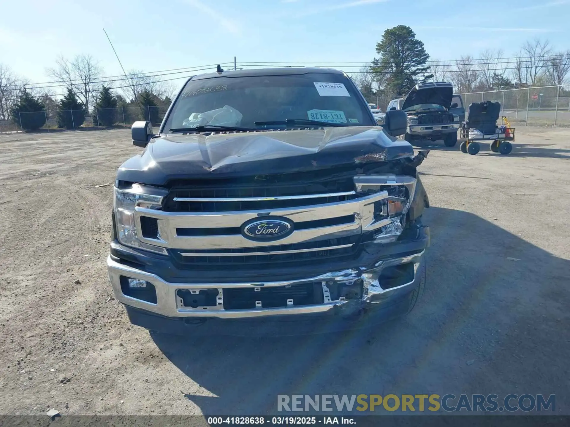 12 Photograph of a damaged car 1FTFW1E49KKD06454 FORD F-150 2019