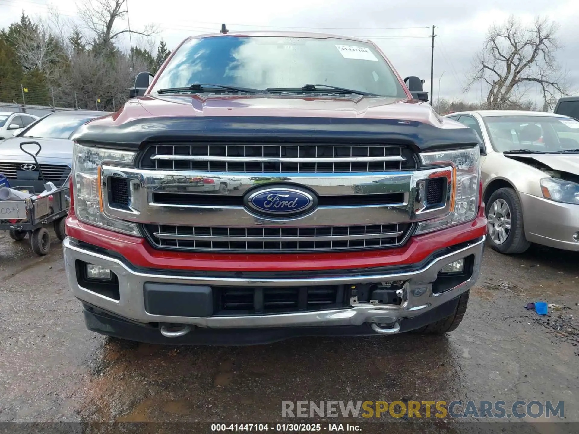 12 Photograph of a damaged car 1FTFW1E49KKD98116 FORD F-150 2019