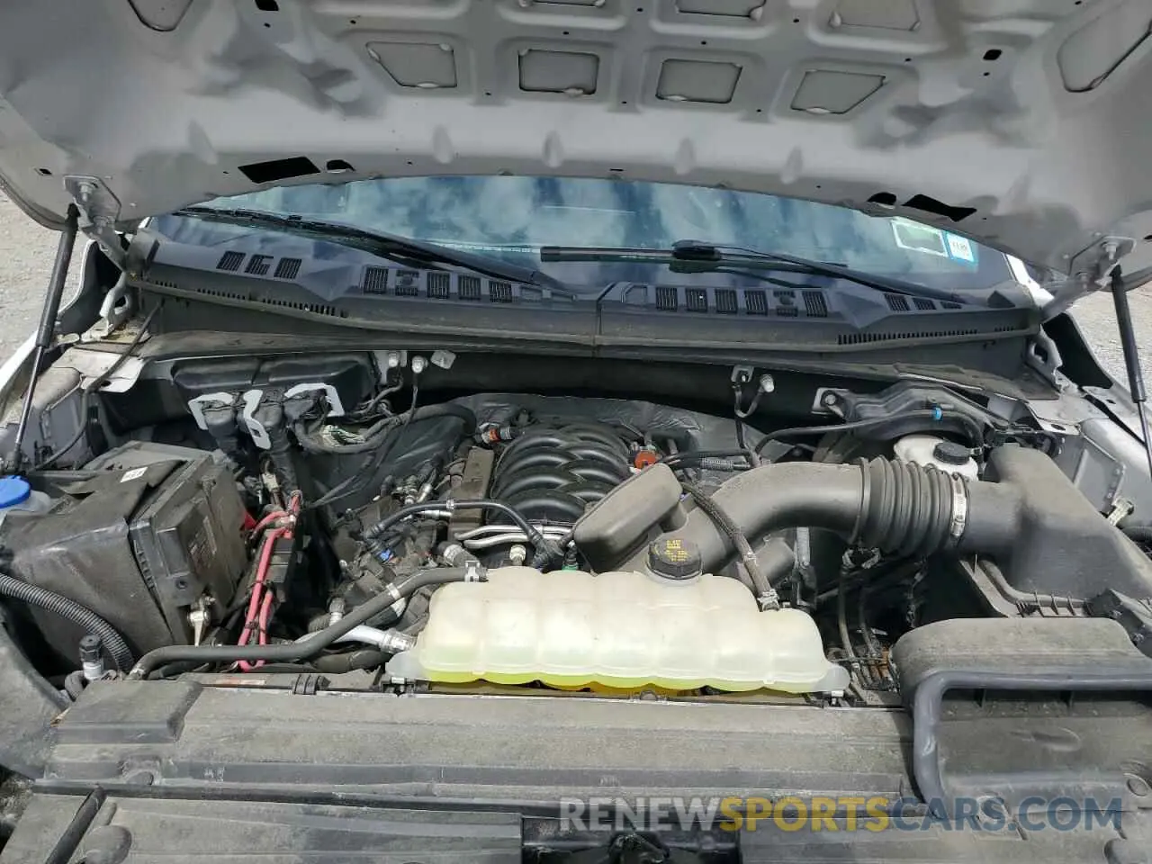 11 Photograph of a damaged car 1FTFW1E51KFC28124 FORD F-150 2019